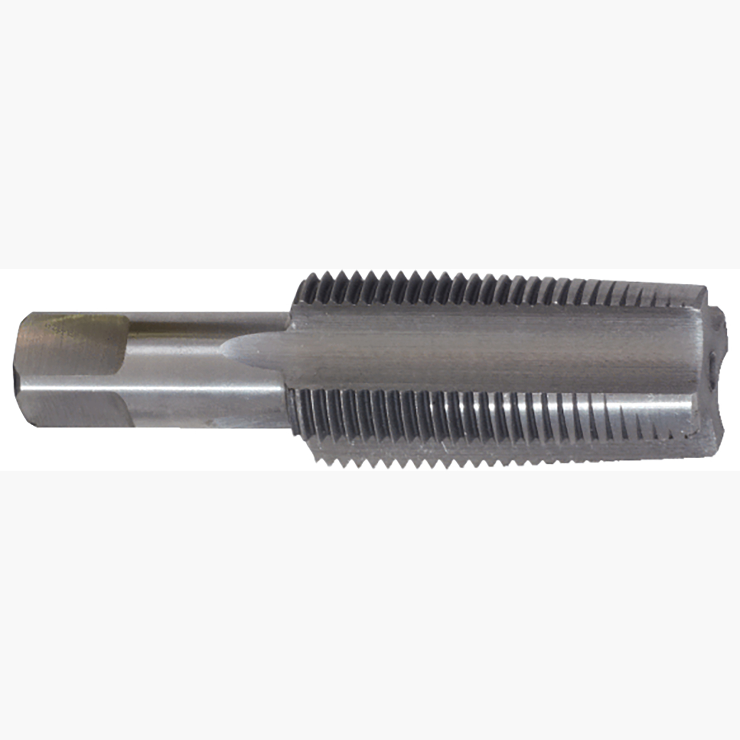 FOT_PRO_ALG_AUTO_150.1449_SALL_AING_V1