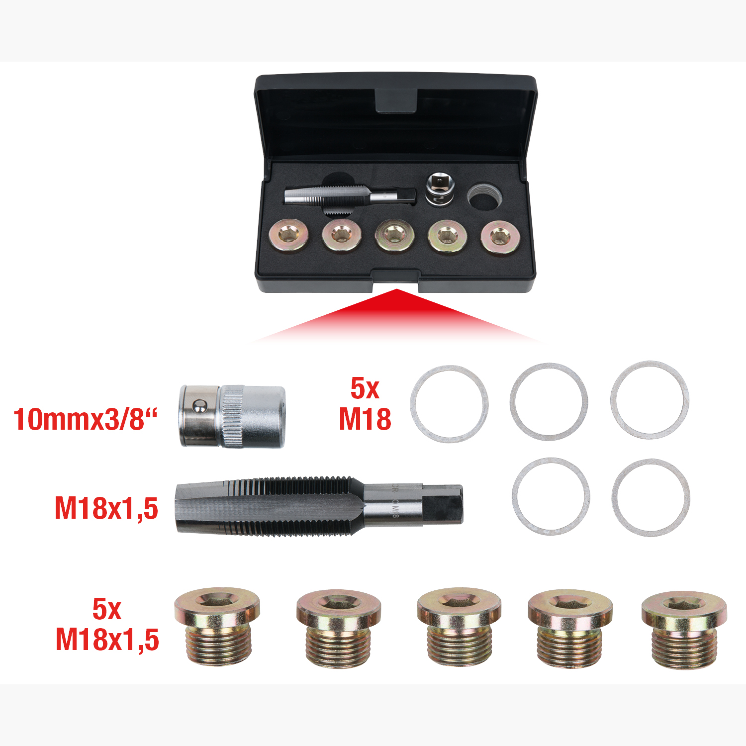 FOT_GES_ALG_150.4935.GB_SALL_AING_V1