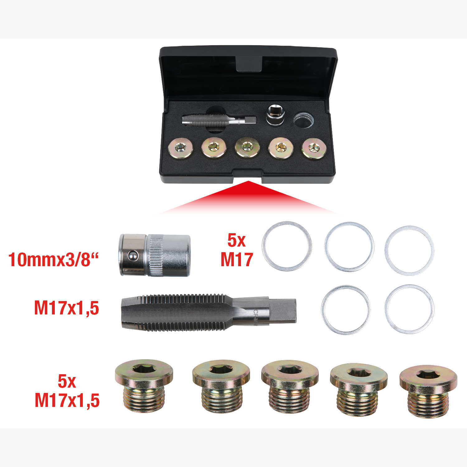 FOT_GES_ALG_150.4930.GB_SALL_AING_V1