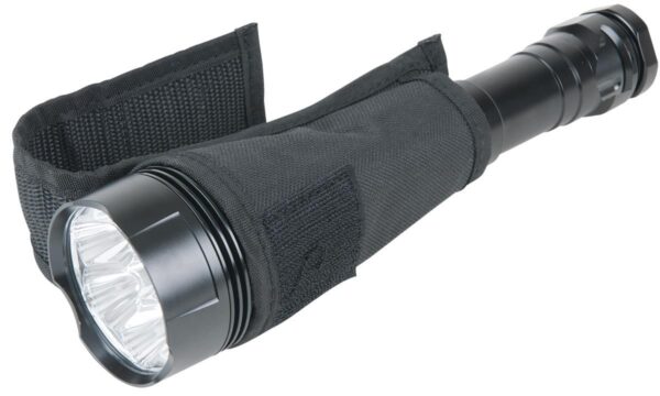 FOT_PRO_VAR_INSP_150.436X(5-8).3_SALL_AING_V1