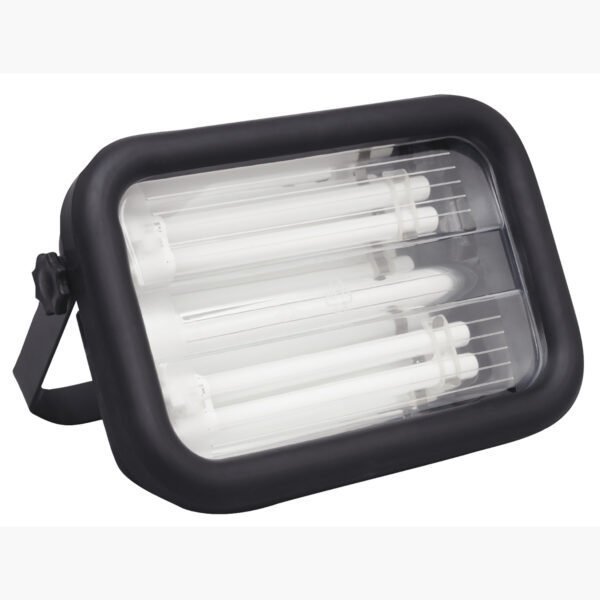 FOT_PRO_ALG_WZAL_150.4255_SALL_AING_V1