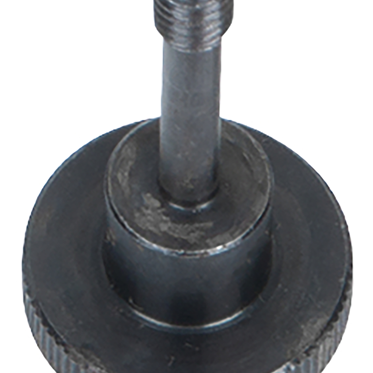 FOT_PRO_ALG_AUTO_150.3654_SALL_AING_V1