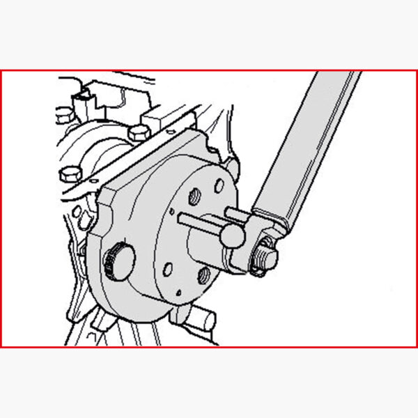 FOT_ANW_ALG_AUTO_150.3650.AW2_SALL_AING_V1