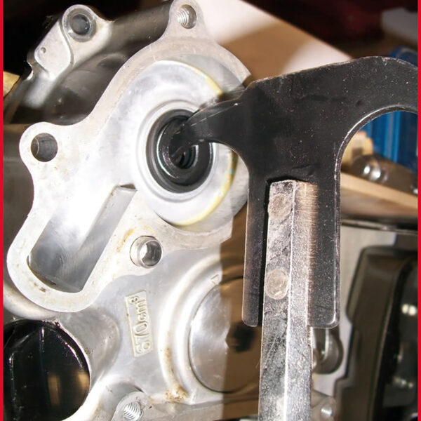 FOT_ANW_ALG_AUTO_550.1060.AW1_SALL_AING_V1