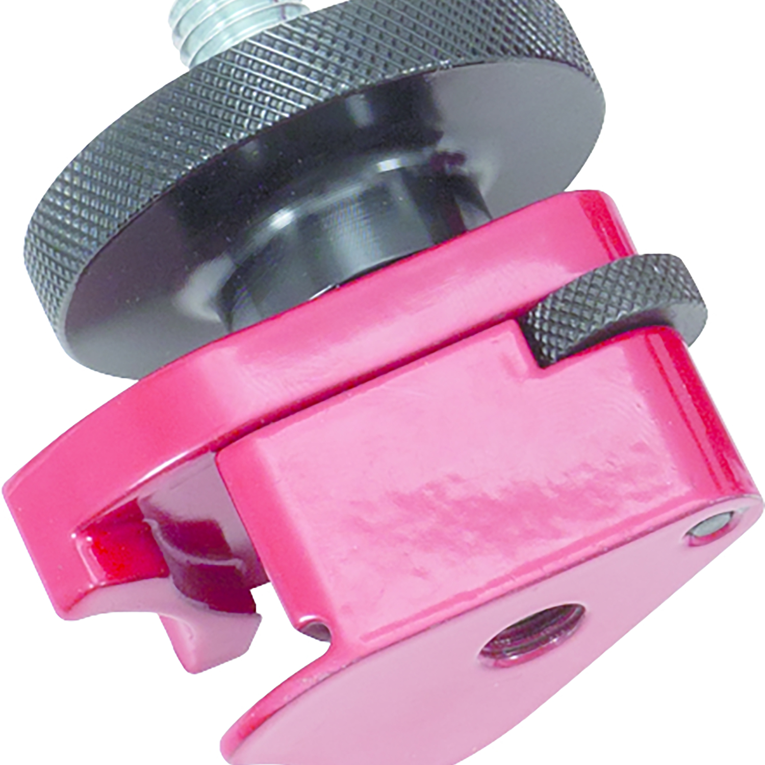 FOT_PRO_ALG_AUTO_150.3197_SALL_AING_V1