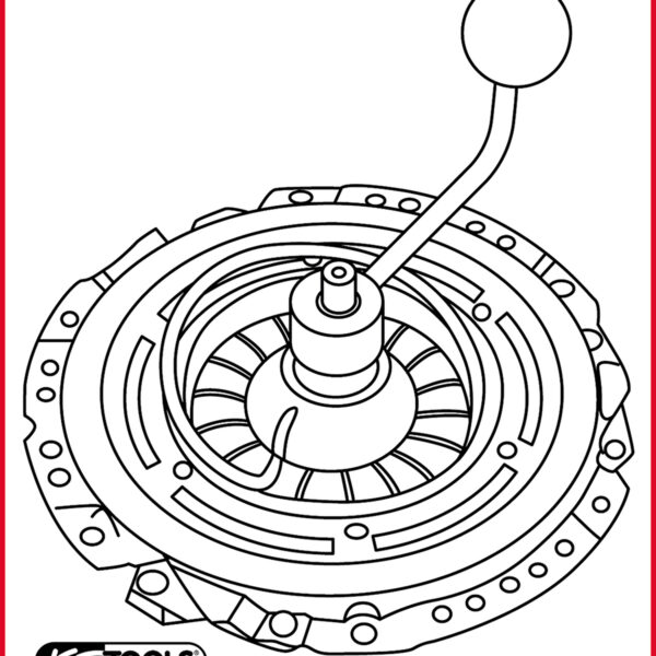 FOT_ANW_ALG_AUTO_150.2434.AW1_SALL_AING_V1