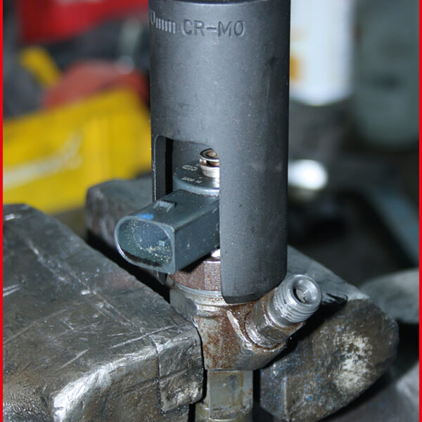 FOT_ANW_ALG_AUTO_150.2310.AW5_SALL_AING_V1