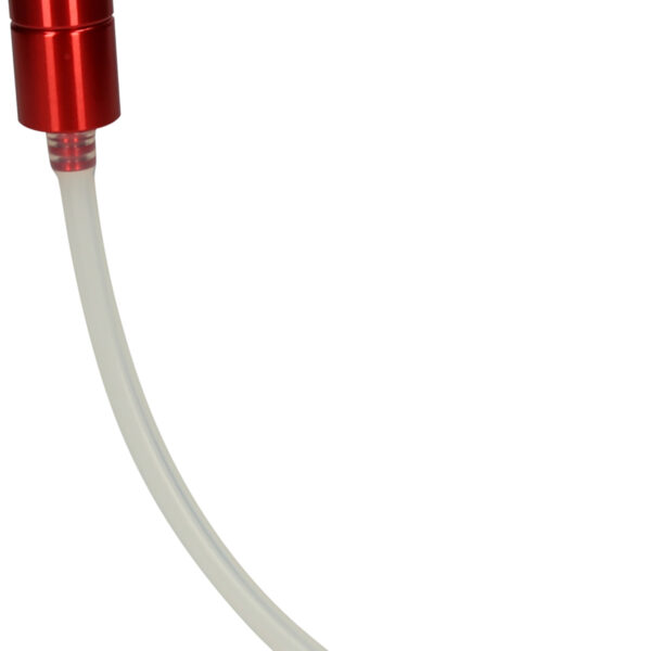 FOT_PRO_ALG_150.2304_SALL_AING_V1