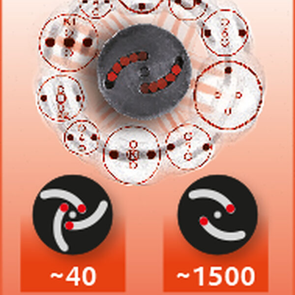 FOT_ANW_ALG_AUTO_150.2295.AW1_SALL_AING_V1