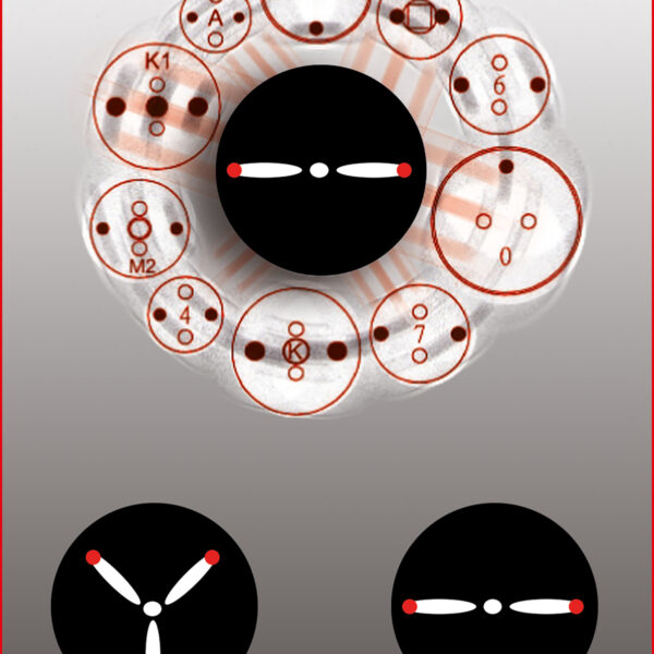 FOT_ANW_ALG_AUTO_150.2295.AW2_SALL_AING_V1