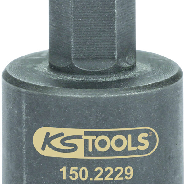 FOT_PRO_ALG_STK_150.2229_SALL_AING_V1