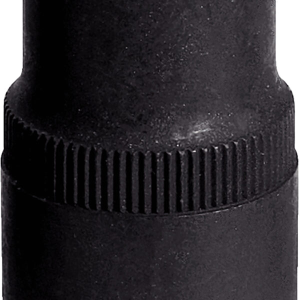 FOT_PRO_ALG_STK_150.2154_SALL_AING_V1