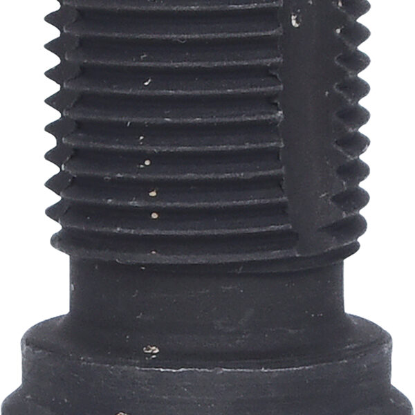 FOT_PRO_VAR_150.2129.4_SALL_AING_V1