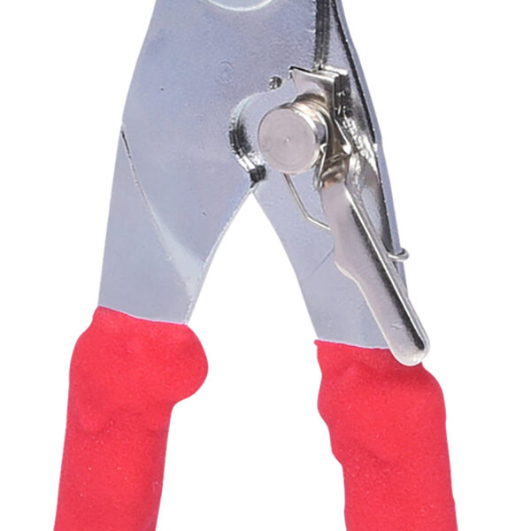 FOT_PRO_ALG_150.2118_SALL_AING_V1