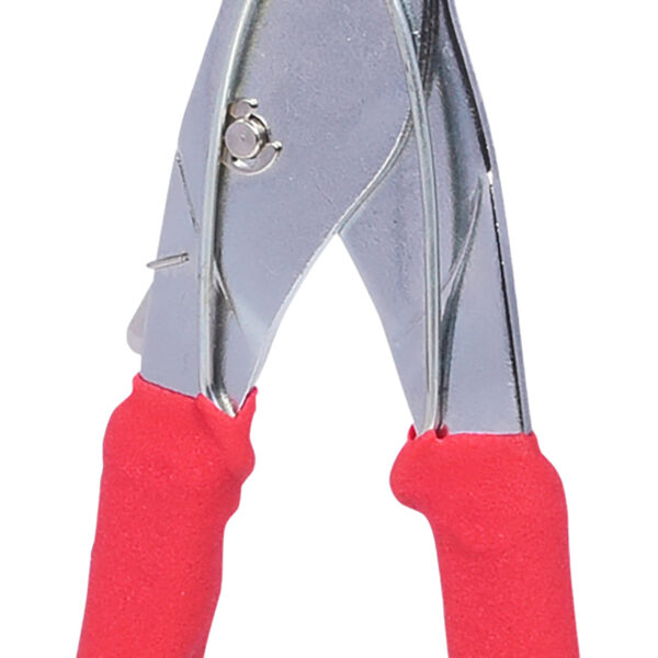 FOT_PRO_VAR_150.2118.2_SALL_AING_V1