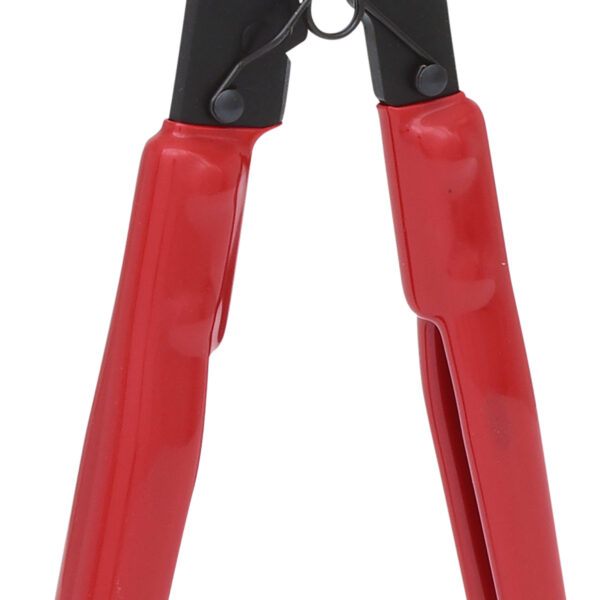 FOT_PRO_ALG_150.2097_SALL_AING_V1