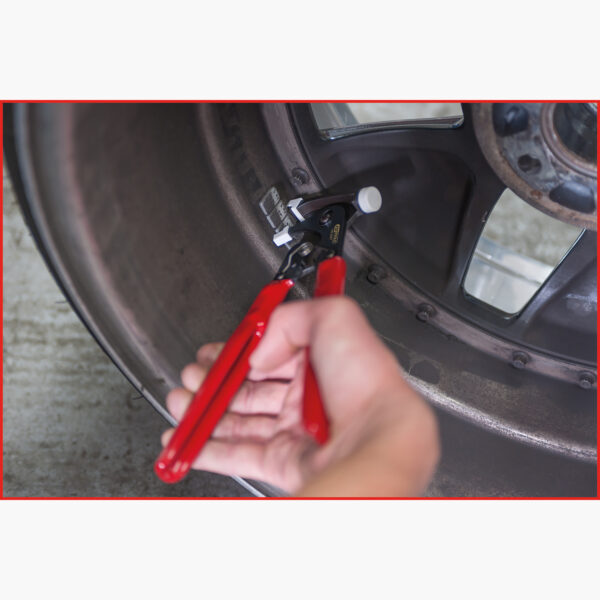 FOT_ANW_ALG_AUTO_150.2097.AW2_SALL_AING_V1