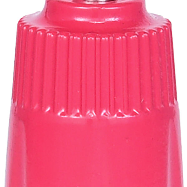 FOT_PRO_ALG_150.2029_SALL_AING_V1