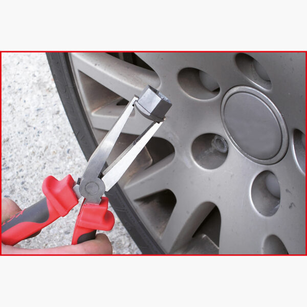 FOT_ANW_ALG_ZA_150.2023.AW1_SALL_AING_V1