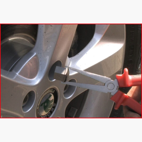 FOT_ANW_ALG_ZA_150.2023.AW2_SALL_AING_V1