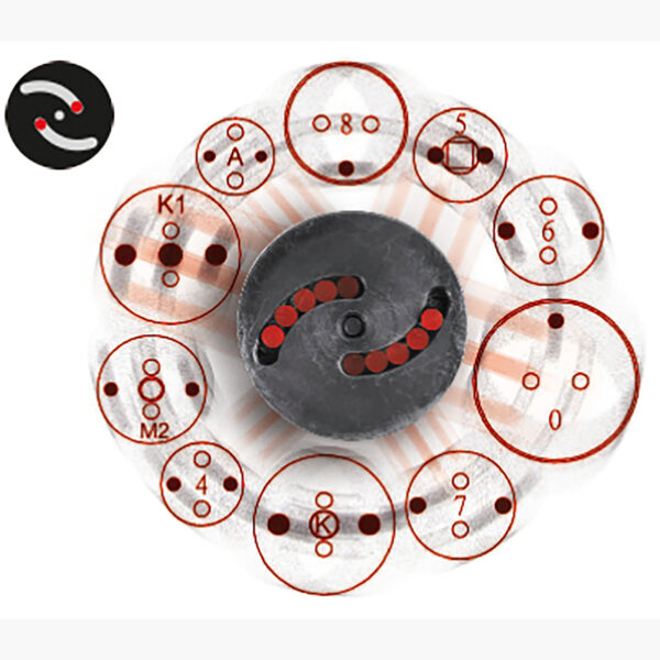 FOT_ANW_ALG_AUTO_150.1965.AW5_SALL_AING_V1