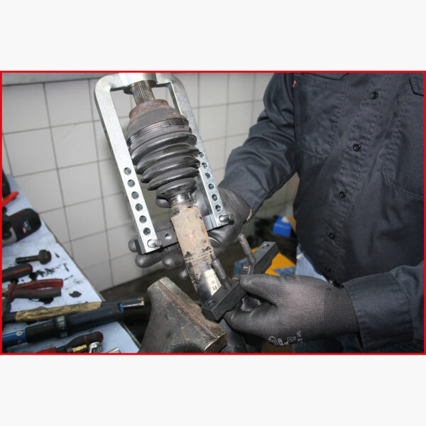 FOT_ANW_ALG_AUTO_150.1850.AW14_SALL_AING_V1