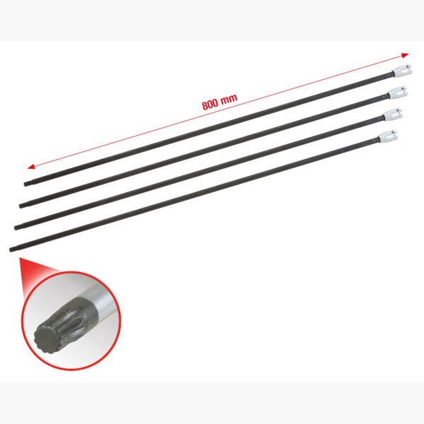 FOT_GES_ALG_150.1740.GB_SALL_AING_V1