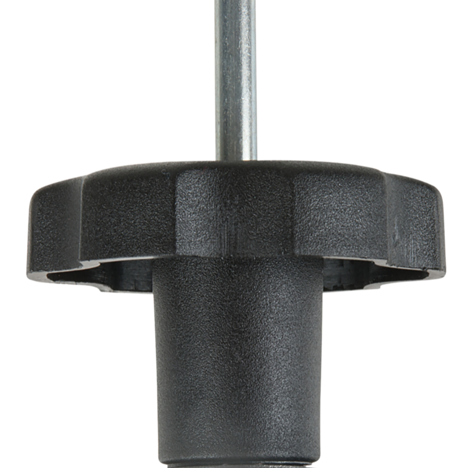 FOT_PRO_ALG_AUTO_150.1698_SALL_AING_V1