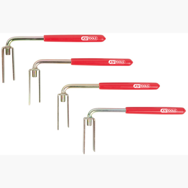 FOT_PRO_ALG_AUTO_150.1691_SALL_AING_V1