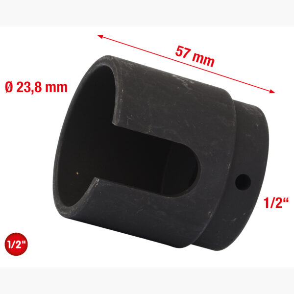 FOT_GES_ALG_150.1627.GB_SALL_AING_V1