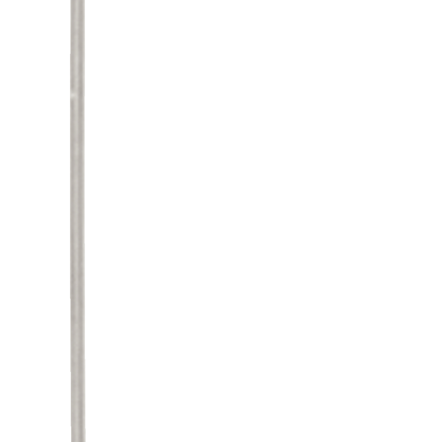 FOT_PRO_ALG_AUTO_150.1613_SALL_AING_V1