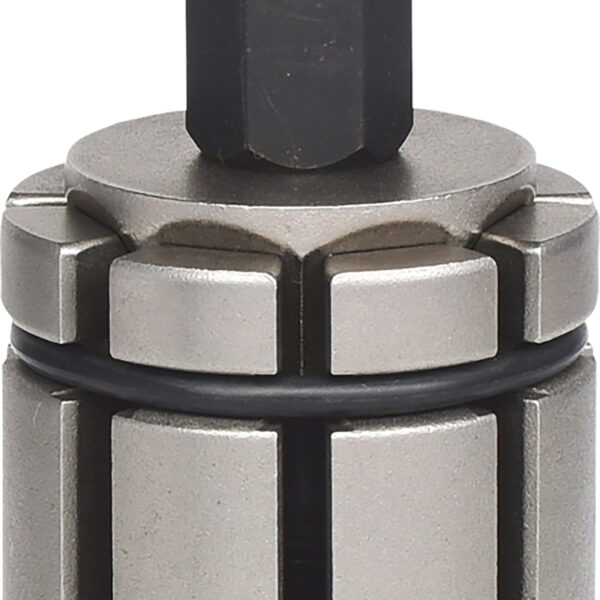 FOT_PRO_ALG_150.1525_SALL_AING_V1