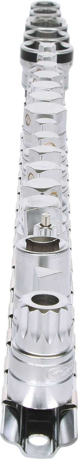 FOT_PRO_VAR_150.1445.3_SALL_AING_V1