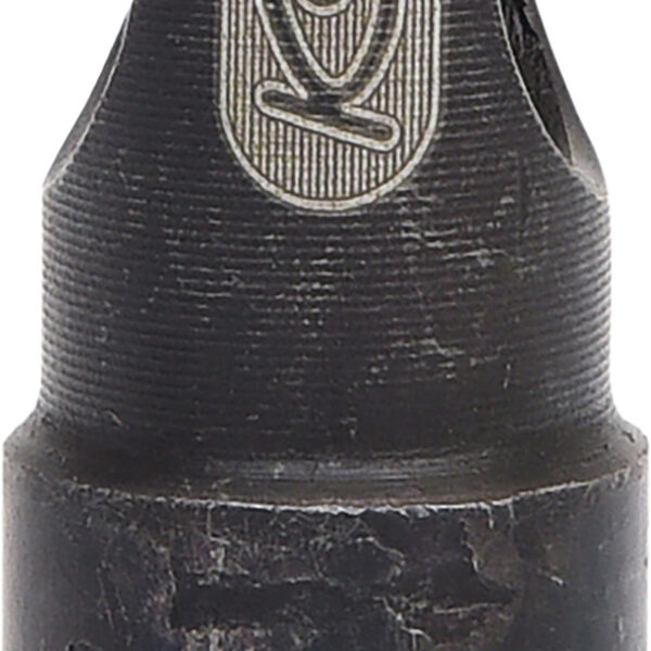 FOT_PRO_VAR_150.1440.4_SALL_AING_V1