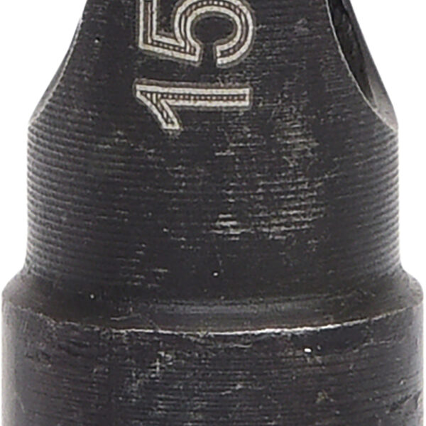 FOT_PRO_VAR_150.1440.6_SALL_AING_V1