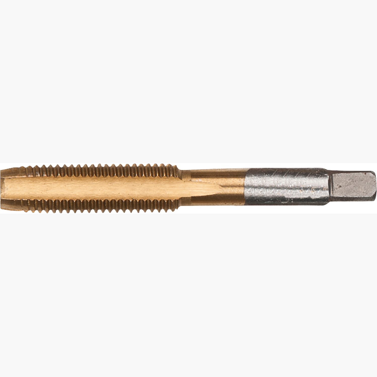 FOT_PRO_ALG_AUTO_150.1422_SALL_AING_V1