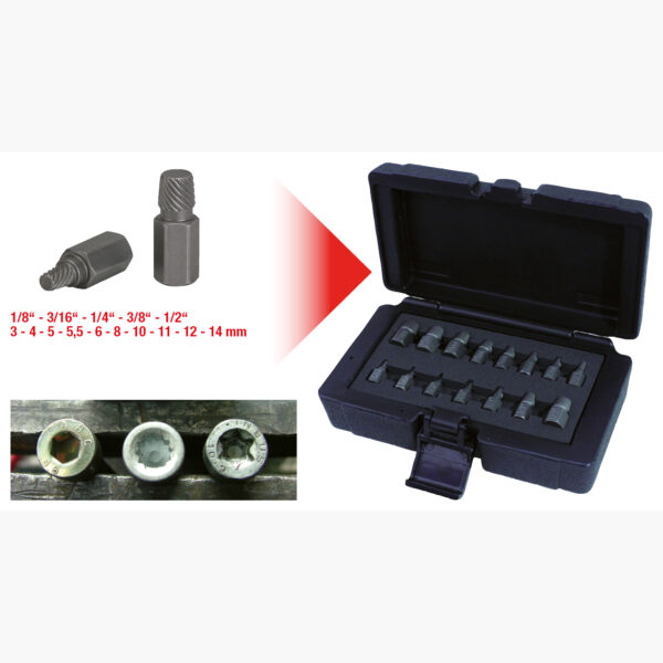 FOT_GES_ALG_150.1385.GB_SALL_AING_V1