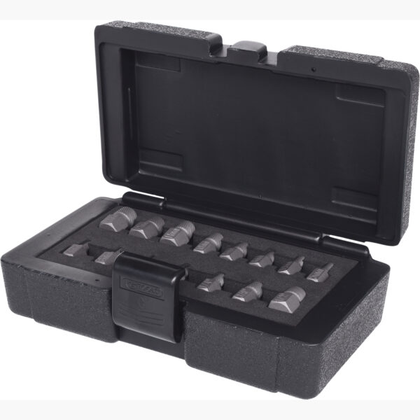 FOT_PRO_ALG_150.1385_SALL_AING_V1