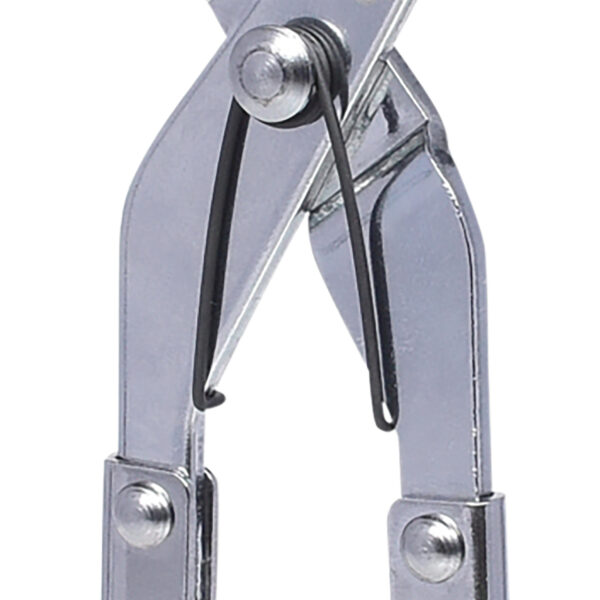 FOT_PRO_ALG_150.1309_SALL_AING_V1