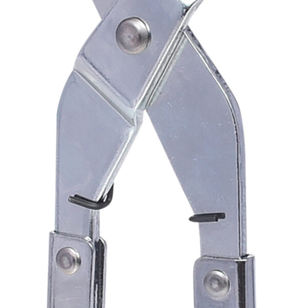 FOT_PRO_VAR_150.1309.2_SALL_AING_V1