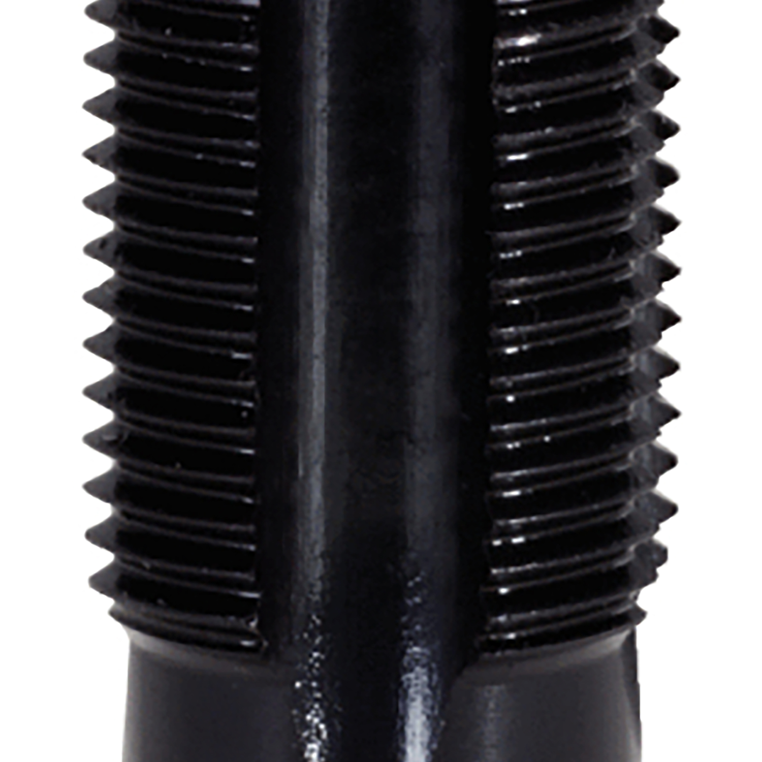 FOT_PRO_ALG_AUTO_150.1281_SALL_AING_V1