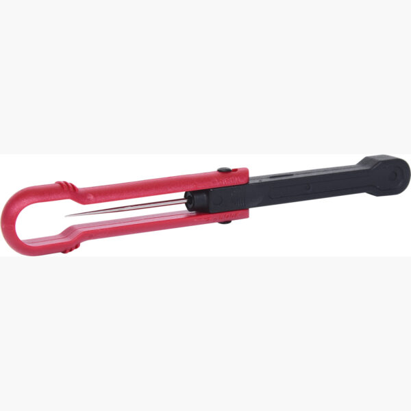 FOT_PRO_ALG_150.1268_SALL_AING_V1