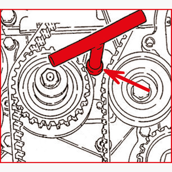 FOT_ANW_ALG_AUTO_150.125X(3-4).AW1_SALL_AING_V1