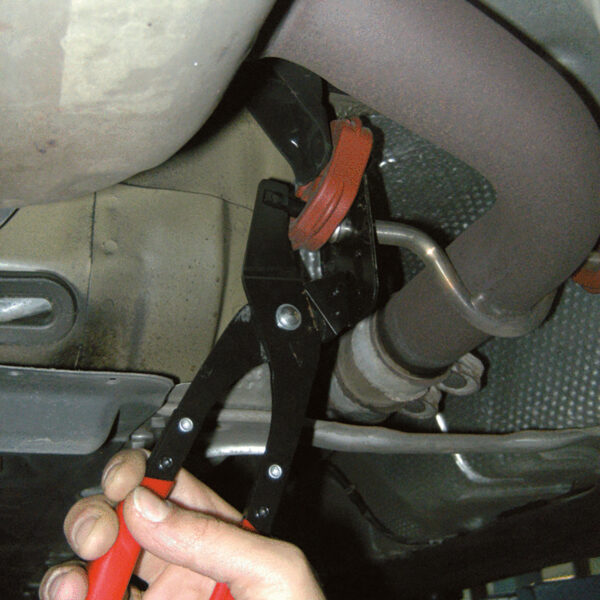 FOT_ANW_ALG_AUTO_150.1245.AW1_SALL_AING_V1