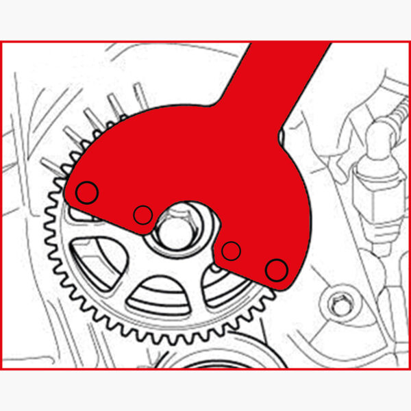 FOT_ANW_ALG_AUTO_150.1244.AW1_SALL_AING_V1