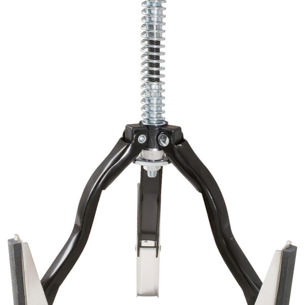 FOT_GES_ALG_150.1195.GB_SALL_AING_V1