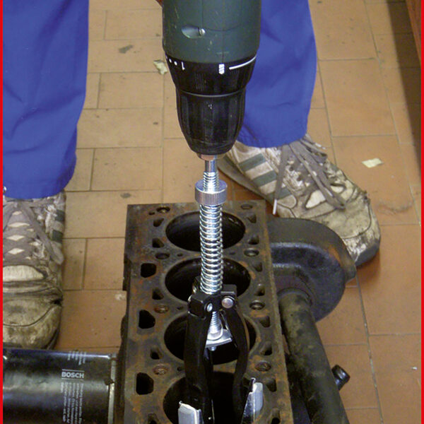 FOT_ANW_ALG_AUTO_150.1195.AW1_SALL_AING_V1