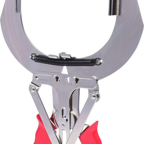 FOT_PRO_ALG_150.1177_SALL_AING_V1