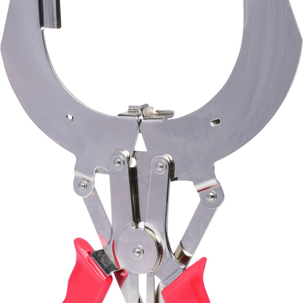 FOT_PRO_VAR_150.1177.2_SALL_AING_V1