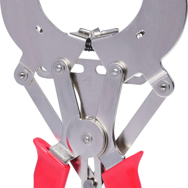 FOT_PRO_VAR_150.1176.2_SALL_AING_V1